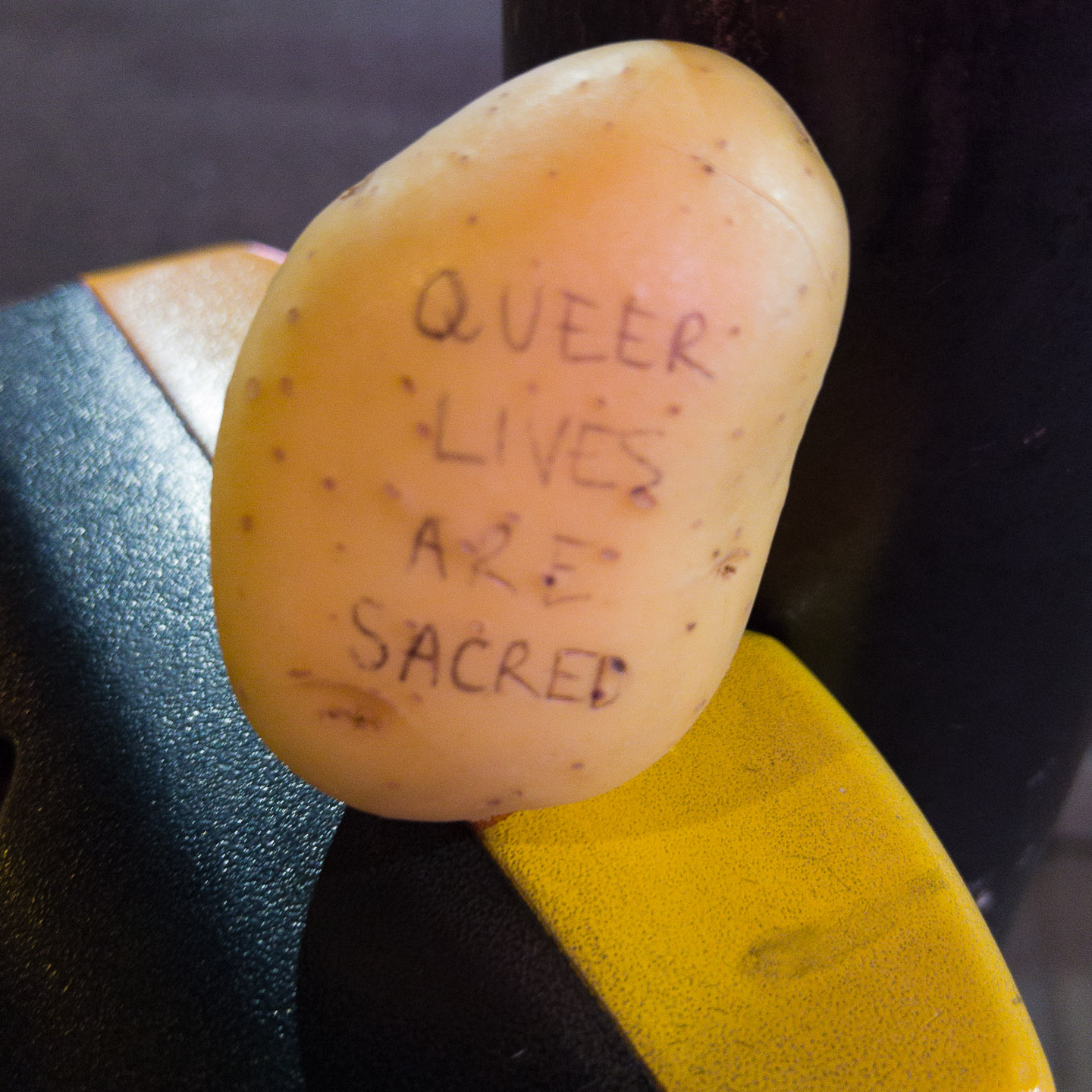 Potato with 'Queer Spaces are Sacred' written on it